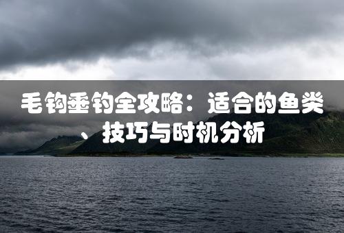 毛钩垂钓全攻略：适合的鱼类、技巧与时机分析