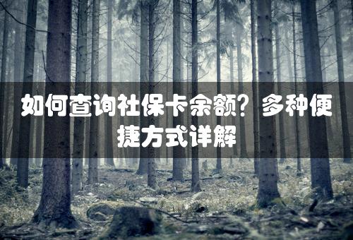 如何查询社保卡余额？多种便捷方式详解