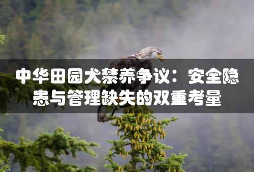 中华田园犬禁养争议：安全隐患与管理缺失的双重考量