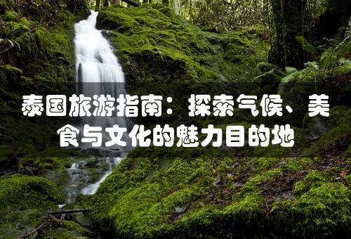 泰国旅游指南：探索气候、美食与文化的魅力目的地