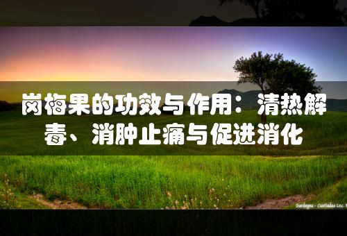 岗梅果的功效与作用：清热解毒、消肿止痛与促进消化