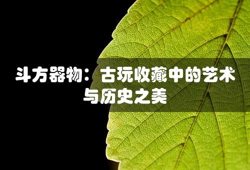 斗方器物：古玩收藏中的艺术与历史之美