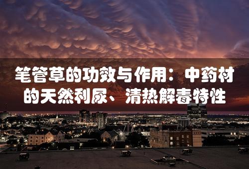 笔管草的功效与作用：中药材的天然利尿、清热解毒特性