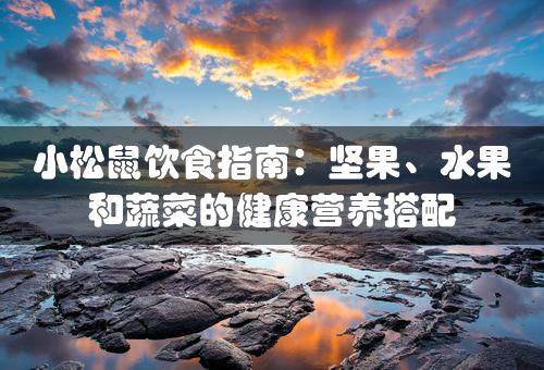 小松鼠饮食指南：坚果、水果和蔬菜的健康营养搭配