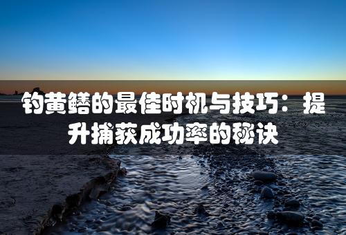 钓黄鳝的最佳时机与技巧：提升捕获成功率的秘诀