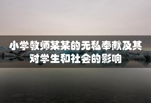 小学教师某某的无私奉献及其对学生和社会的影响