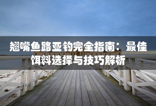 翘嘴鱼路亚钓完全指南：最佳饵料选择与技巧解析