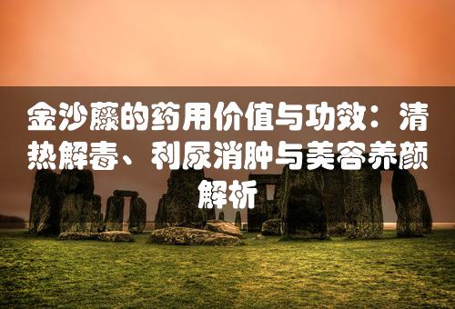 金沙藤的药用价值与功效：清热解毒、利尿消肿与美容养颜解析