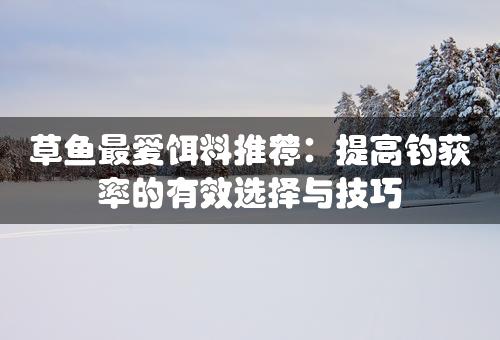 草鱼最爱饵料推荐：提高钓获率的有效选择与技巧