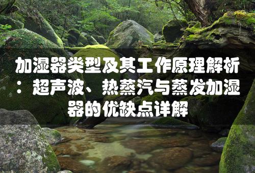 加湿器类型及其工作原理解析：超声波、热蒸汽与蒸发加湿器的优缺点详解