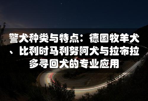 警犬种类与特点：德国牧羊犬、比利时马利努阿犬与拉布拉多寻回犬的专业应用