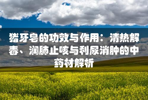 猪牙皂的功效与作用：清热解毒、润肺止咳与利尿消肿的中药材解析