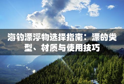 海钓漂浮物选择指南：漂的类型、材质与使用技巧