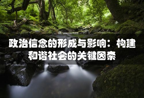 政治信念的形成与影响：构建和谐社会的关键因素