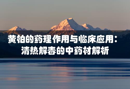 黄柏的药理作用与临床应用：清热解毒的中药材解析