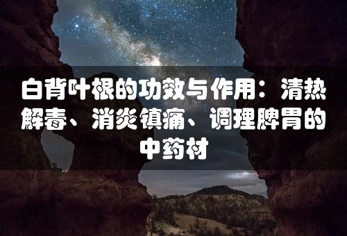 白背叶根的功效与作用：清热解毒、消炎镇痛、调理脾胃的中药材