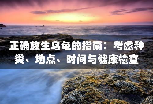 正确放生乌龟的指南：考虑种类、地点、时间与健康检查