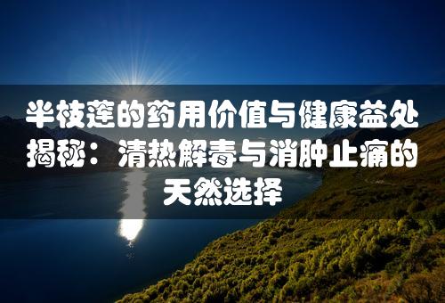 半枝莲的药用价值与健康益处揭秘：清热解毒与消肿止痛的天然选择