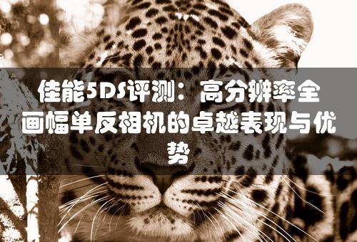 佳能5DS评测：高分辨率全画幅单反相机的卓越表现与优势