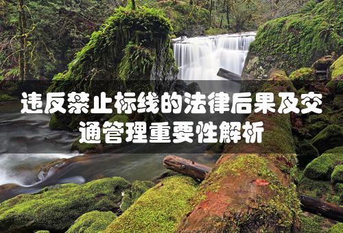 违反禁止标线的法律后果及交通管理重要性解析