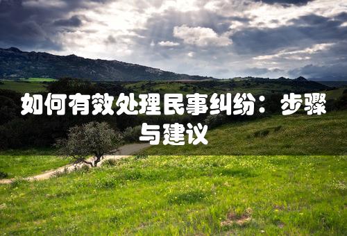 如何有效处理民事纠纷：步骤与建议