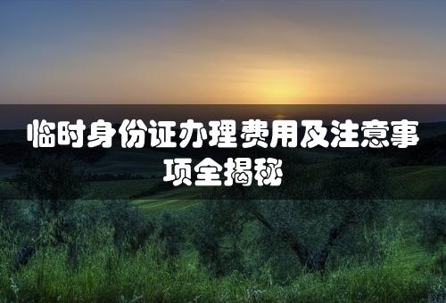 临时身份证办理费用及注意事项全揭秘