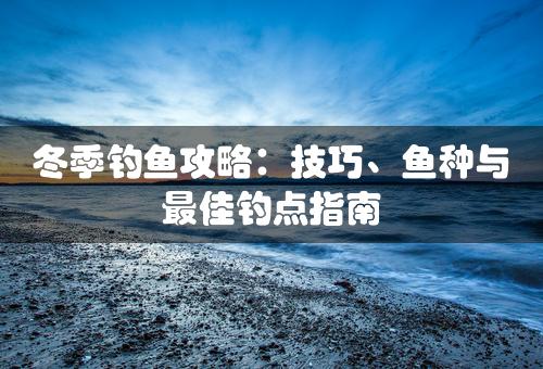 冬季钓鱼攻略：技巧、鱼种与最佳钓点指南