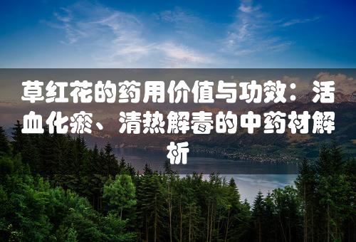 草红花的药用价值与功效：活血化瘀、清热解毒的中药材解析