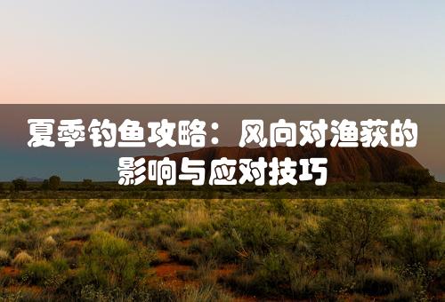 夏季钓鱼攻略：风向对渔获的影响与应对技巧