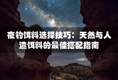 夜钓饵料选择技巧：天然与人造饵料的最佳搭配指南