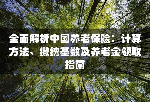 全面解析中国养老保险：计算方法、缴纳基数及养老金领取指南