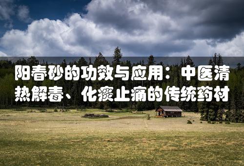 阳春砂的功效与应用：中医清热解毒、化痰止痛的传统药材