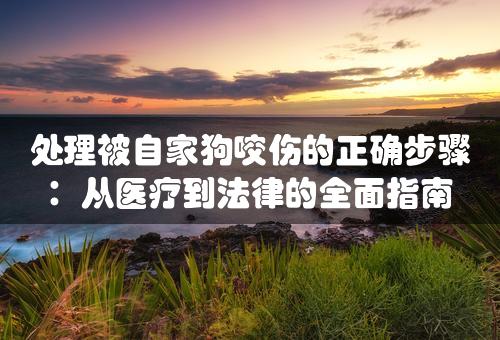 处理被自家狗咬伤的正确步骤：从医疗到法律的全面指南