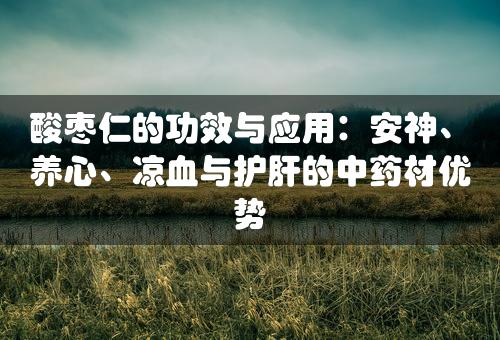 酸枣仁的功效与应用：安神、养心、凉血与护肝的中药材优势