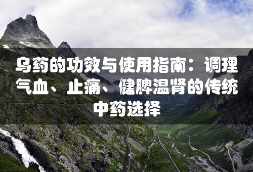 乌药的功效与使用指南：调理气血、止痛、健脾温肾的传统中药选择