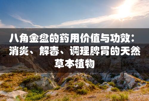 八角金盘的药用价值与功效：消炎、解毒、调理脾胃的天然草本植物