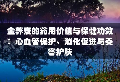 金荞麦的药用价值与保健功效：心血管保护、消化促进与美容护肤