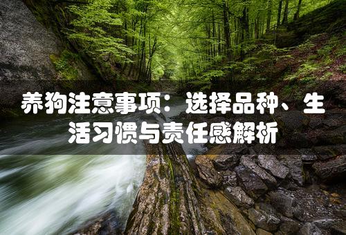 养狗注意事项：选择品种、生活习惯与责任感解析