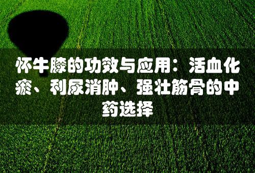 怀牛膝的功效与应用：活血化瘀、利尿消肿、强壮筋骨的中药选择