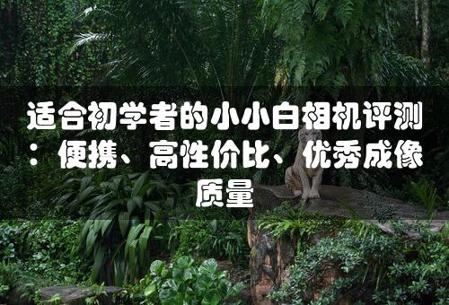 适合初学者的小小白相机评测：便携、高性价比、优秀成像质量