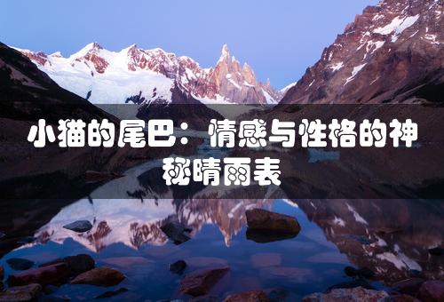 小猫的尾巴：情感与性格的神秘晴雨表