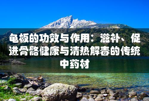 龟板的功效与作用：滋补、促进骨骼健康与清热解毒的传统中药材