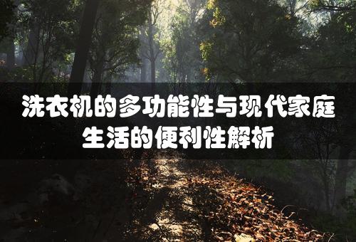 洗衣机的多功能性与现代家庭生活的便利性解析