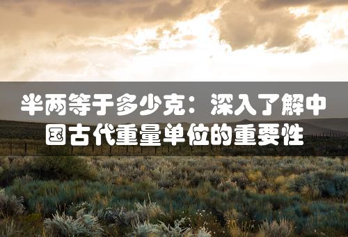 半两等于多少克：深入了解中国古代重量单位的重要性