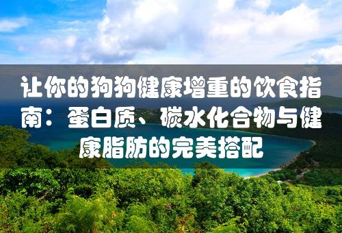 让你的狗狗健康增重的饮食指南：蛋白质、碳水化合物与健康脂肪的完美搭配