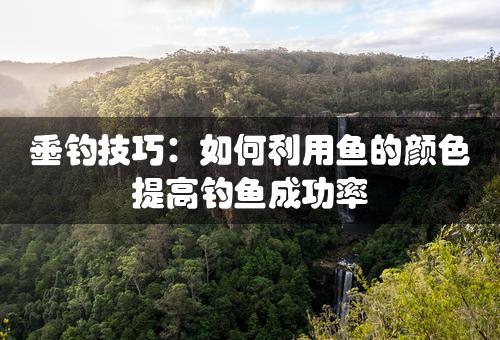 垂钓技巧：如何利用鱼的颜色提高钓鱼成功率