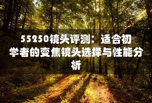 55250镜头评测：适合初学者的变焦镜头选择与性能分析