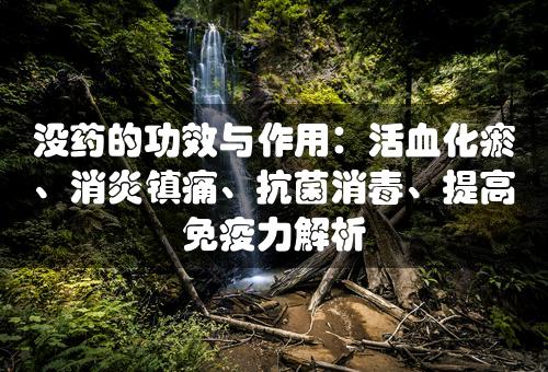 没药的功效与作用：活血化瘀、消炎镇痛、抗菌消毒、提高免疫力解析