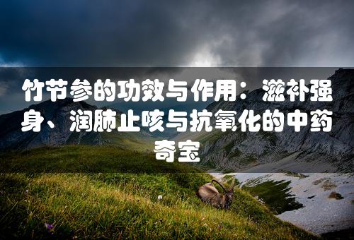 竹节参的功效与作用：滋补强身、润肺止咳与抗氧化的中药奇宝