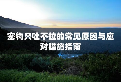 宠物只吐不拉的常见原因与应对措施指南